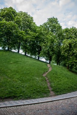 Park yolu ve ağaçlar