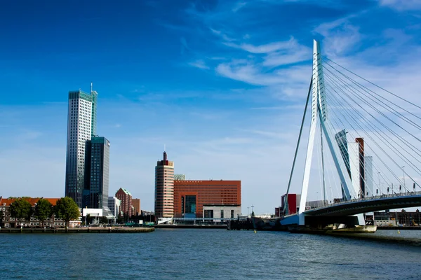 Rotterdam panorama con ponte erasmus — Foto Stock