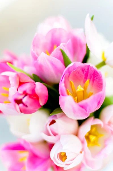 郁金香的粉色婚礼花束 — 图库照片