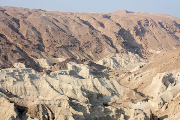 이스라엘 네 게 브 사막 — 스톡 사진