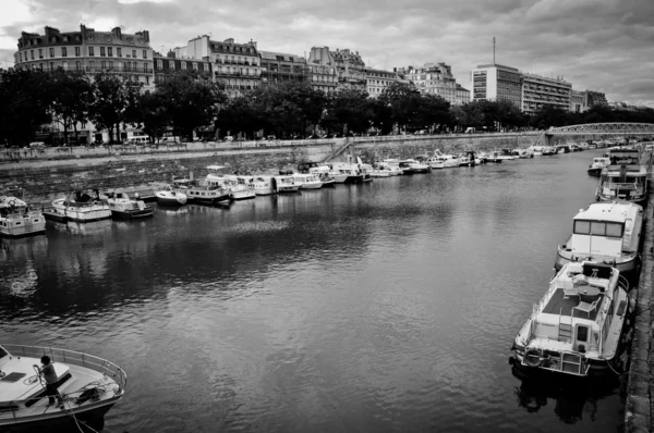 Perroquet dans la cage — Photo