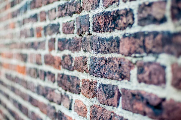Brick wall pattern with shallow depth of field and perspective — Stock Photo, Image