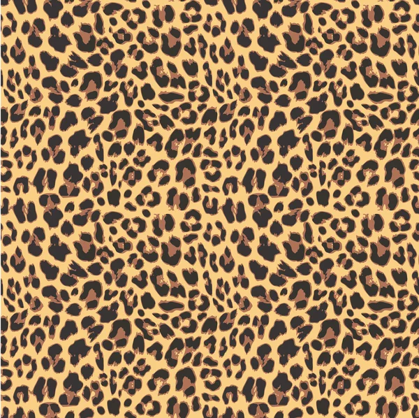 HD cheetah print wallpapers  Peakpx