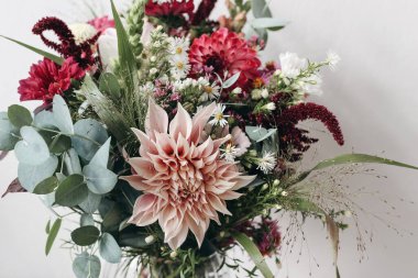 Renkli çiçeklerin kapanışı. Huysuz sonbahar düğünü ya da doğum günü buketi. Pembe ve Burgundy Dahlia, kozmos ve aster çiçekleri. Amaranthus ve okaliptüs yaprakları, seçici odaklanma. Beyaz Duvar.