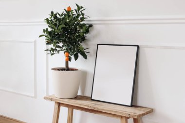 Yaz modelleme sahnesi. Mandalina, narenciye, kalamondin, saksıda meyve ağacı. Eski ahşap bankta boş siyah resim çerçevesi, masa. Duvar kalıbı arka plan, süsleme dekoru. Akdeniz oturma odası.