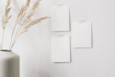 Beyaz duvara bantlanmış boş tebrik kartlarının yakın çekimleri. Modern yaz, hareketsiz hayat fotoğrafı. Vazoda kurumuş festuca otu, bulanık ön plan. Boho ev dekorasyonu. Sanat gösterisi. Doğal zanaat bileşimi