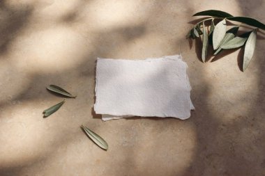 Blank cotton business cards mockups with olive leaves and branches. Marble backgound, sunlight, shadow overlay. Modern template for branding identity. Mediterranean summer, vacation design. Flat lay clipart