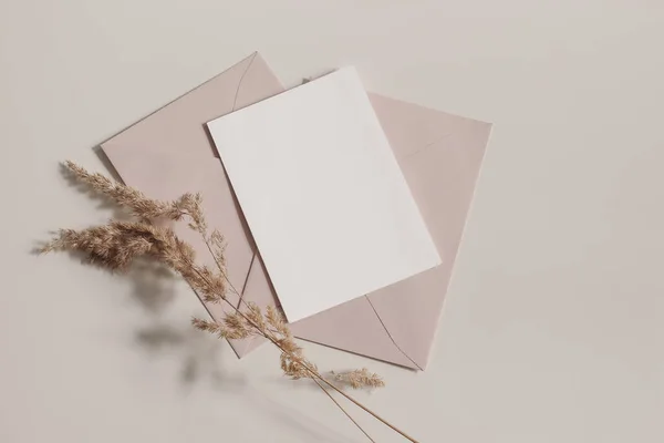 Γάμος Boho, σύνθεση χαρτικών γενεθλίων. Λευκά ευχετήρια κάρτα, πρόσκληση mockup, ρουζ ροζ, γυμνοί φάκελοι. Ξηρό γρασίδι, φεστούκα φυτό ins ηλιακό φως σε μπεζ φόντο πίνακα. Πτώση επίπεδη θέσει, κορυφή — Φωτογραφία Αρχείου