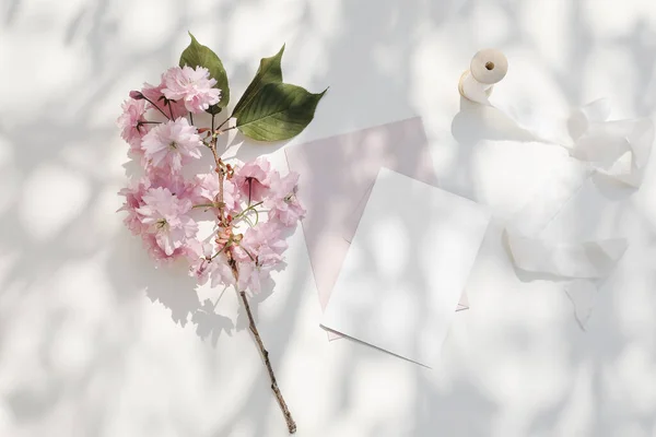 Springtime wedding stationery. Blooming pink Japanese cherry tree, sakura branch in sunlight. Blank greeting card, invitation mockup Blush pink envelope. White table, shadows overlay. Flat lay, top.
