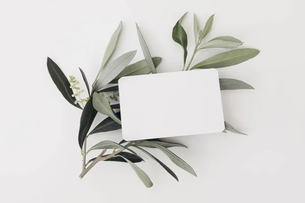Summer Mediterranean stationery. Blank business card with round corners mock-up scene. Horizontal greeting card, green olive tree leaves, branch isolated on white table background, flat lay, top view.
