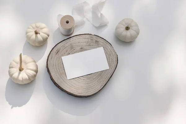 Autumn, winter stationery still life. Blank business card, invitation mockup on cut wooden round board. White little pumpkins, silk ribbon on white table background in sunlight, flatlay, top view.