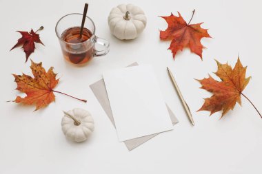 Kırtasiye malzemesi. Boş tebrik kartı, davetiye maketi. Balkabakları, akçaağaç yaprakları beyaz masa arkasında izole edilmiş. Sonbahar sabahı kahvaltı sahnesi. Bir bardak sıcak çay, altın kalem ve kaşık, üst manzara.