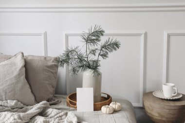 Boş Noel tebrik kartı, davetiye maketi. Yatak, keten yastıklı kanepe, battaniye. Vazoda çam ağacı dalları. Hasır tepside beyaz balkabakları, fincanlı ahşap kahve masası, kışın iç kısımları.
