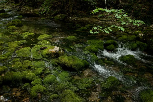 Mountain stream — Stock Photo, Image