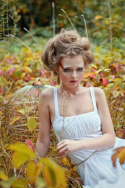 Hermosa chica de hadas con jaula de oro en un bosque — Foto de Stock