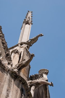 Gargoyle katedral çatıda