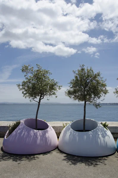 堤防上のプラスチック製の花壇に花の木 — ストック写真