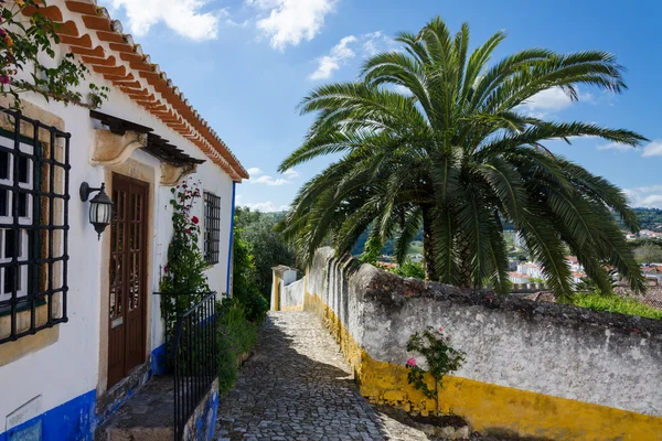 Europeisk landsby. Gater i Obidos, Portugal – stockfoto