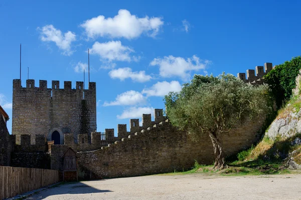 Plano en el patio de un antiguo castillo —  Fotos de Stock