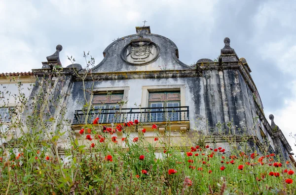 Casa abandonada y abandonada en el campo de amapola — Foto de Stock