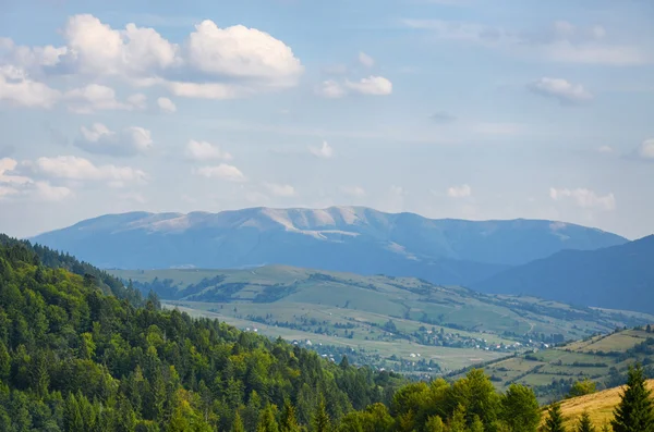 In the mountains. Carpathians, Ukraine — Stock Photo, Image