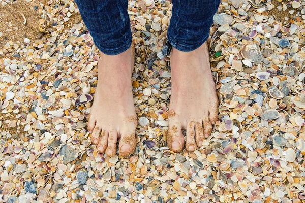 Pieds féminins sur la plage pleine de coquillages — Photo