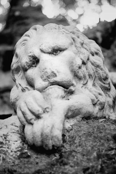 Estátua de leão em repouso — Fotografia de Stock