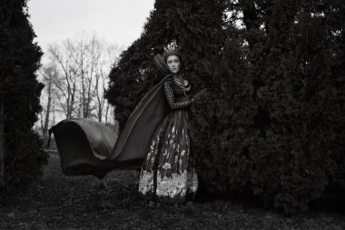 uçan bir pelerin giyiyor Kraliçe