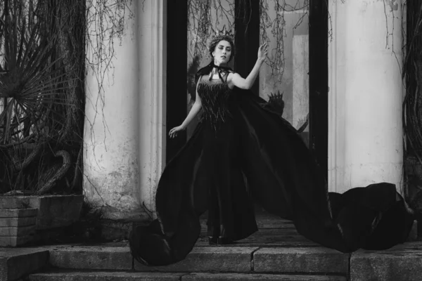Чёрная королева — стоковое фото