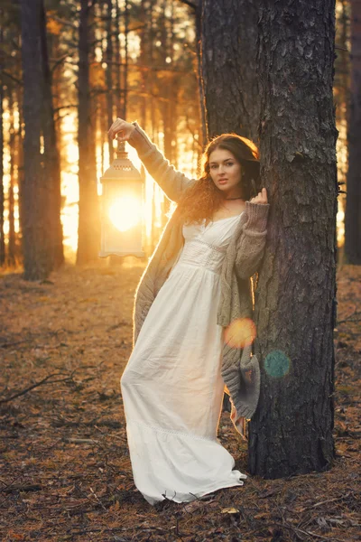 Jovem mulher bonita na floresta com lanterna mágica — Fotografia de Stock