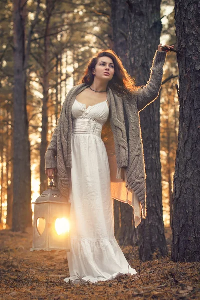 Joven hermosa mujer en el bosque con linterna — Foto de Stock