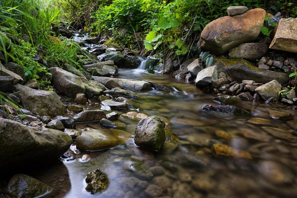 Gebirgsbach in den Karpaten. Ukraine — Stockfoto