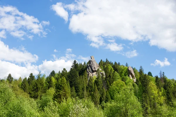 In the mountains. Carpathians, Ukraine — Stock Photo, Image