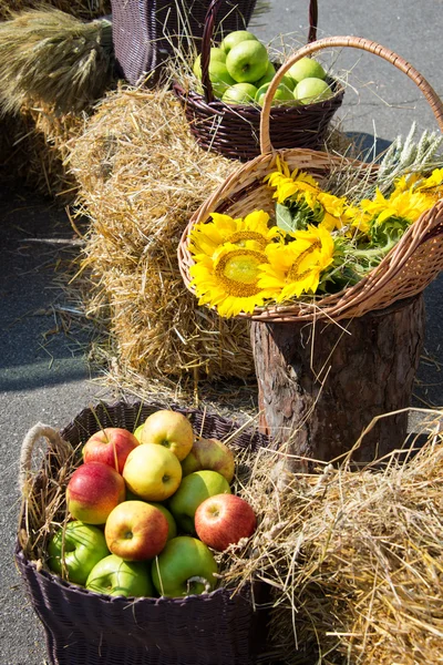 Hlavy obilí, jablka a slunečnice. sklizeň na kupce sena — Stock fotografie