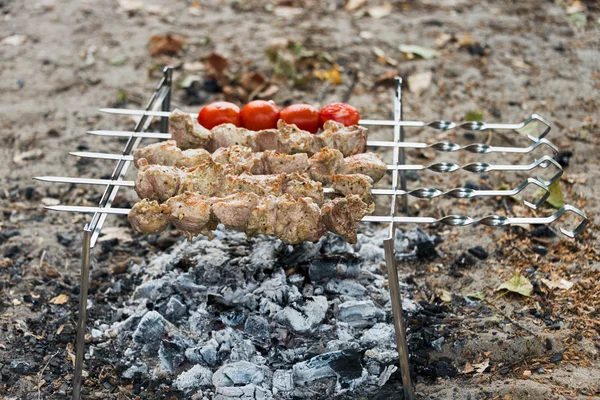 Maso steaky na grilu. Ukrajina — Stock fotografie