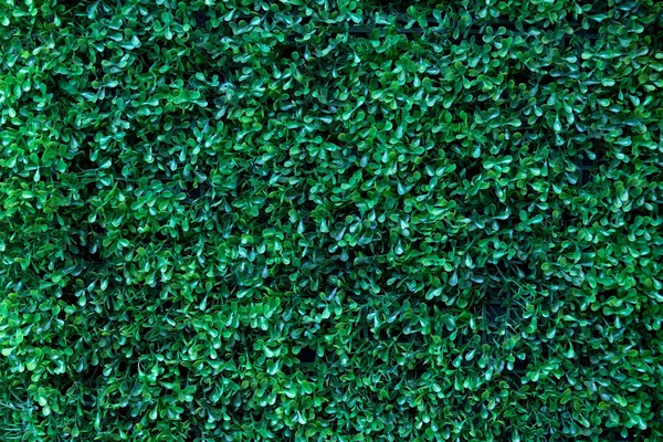 Вид сверху на искусственную пластиковую траву. Зеленая поддельная трава. Имитационный травяной материал для ковров, полов и стен. Декорации, фон и текстуры. — стоковое фото