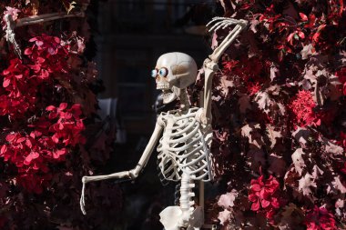 Ürkütücü iskelet, vitrin dekorasyonu. Ürkütücü Cadılar Bayramı sokak dekoru. Şeker mi şaka mı? Cadılar bayramın kutlu olsun. Agresif insan iskelet oyuncağı herkesi korkutur. Cadılar Bayramı konsepti