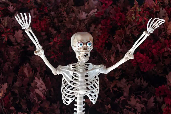 Τρομακτικός σκελετός, γιορτινή διακόσμηση της βιτρίνας. Τρομακτική διακόσμηση δρόμου Halloween. Φάρσα ή κέρασμα. Καλό Χάλογουιν. Το επιθετικό ανθρώπινο παιχνίδι σκελετού τρομάζει τους πάντες. Απόκριες — Φωτογραφία Αρχείου
