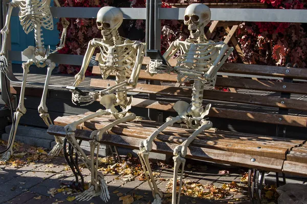Esqueletos com um smartphone nas mãos usando a rede social. Decoração de férias de loja, Halloween feliz. — Fotografia de Stock