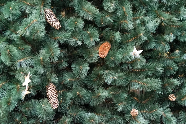 Textura de parede decorada com ramos de abeto de pinheiro verde, cones de abeto, fundo de decorações de Natal. Textura perene de abeto. — Fotografia de Stock