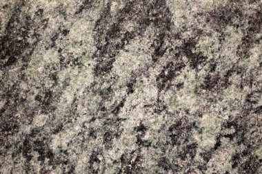 Granit doku, granit kaplama arka plan, gri ve beyaz mermer taş. Eski bina faşizminin dekoratif unsurları. Metin için boş boşluk