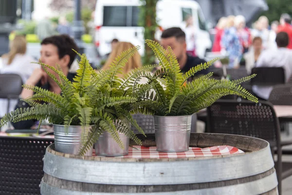 Blurred Defocused Outdoor Sidewalk Cafe Tourists Decorative Fern Buckets Focus — Stockfoto