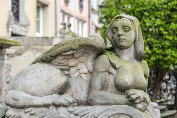 Sphinx sculpture, a fusion of a lion and a woman made from stone on the street of Old Town in Gdansk, Poland. Mysterious woman sphinx statue lies near old building in the park.