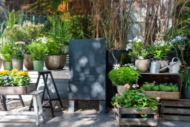 Blank shop sign or menu board near the entrance to flower shop or cafe. Blackboard sign mockup in front of a restaurant. Signboard, freestanding A-frame blackboard.