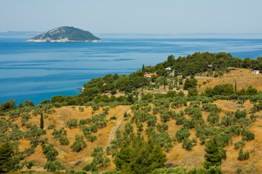 Yaz aylarında Akdeniz kıyılarında