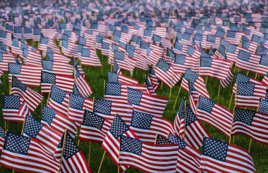 Many Small American Flags clipart