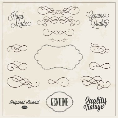 Frames and swirls for decoration hand drawn vector illustration clipart