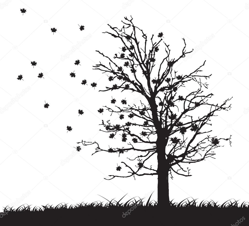Tree silhouette with fallen leaves