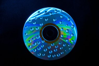 ıslak cd damla