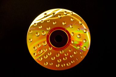 ıslak cd damla